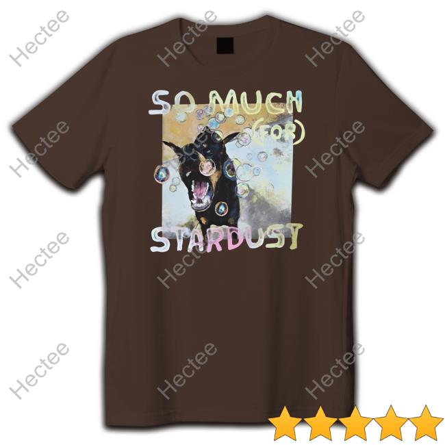 Fall Out Boy So Much For Stardust Unisex T Shirt