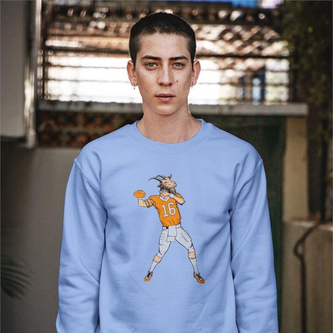 Funny 16 Goat Shirt