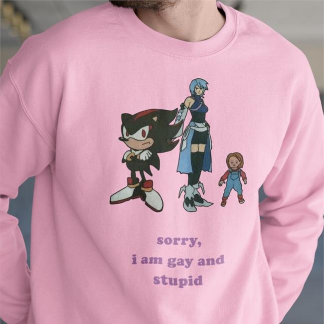Shirts That Go Hard Sorry I'm Gay And Stupid Sweatshirt Sorry I'm Gay And Stupid Shirt