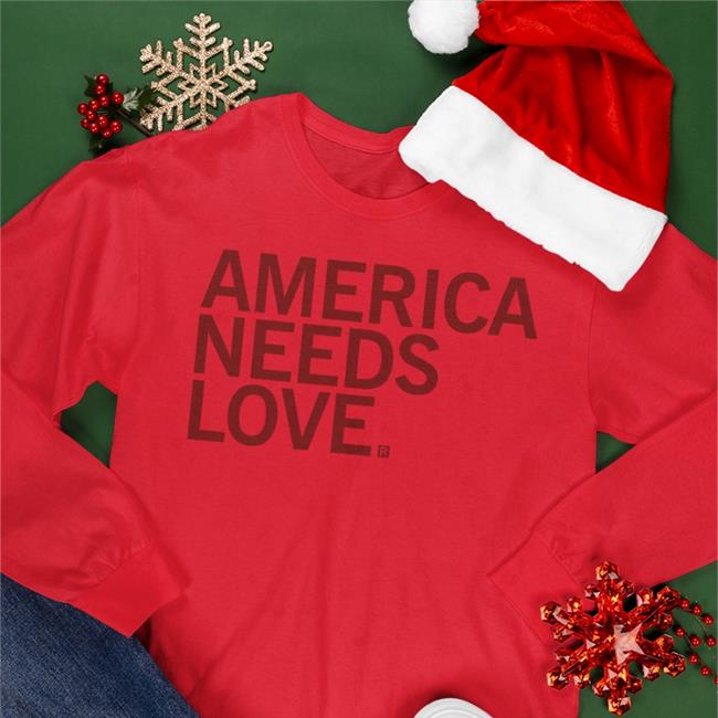 Raygunsite Merch America Needs Love Shirt Allyson Schwab