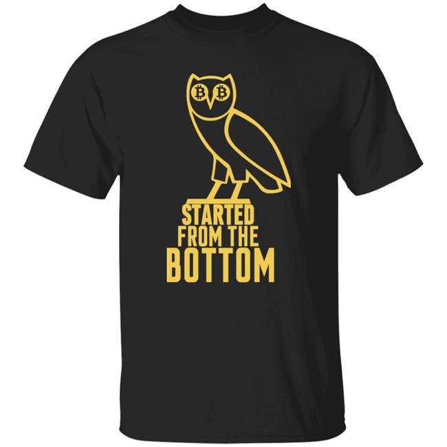 Bitcoin Started From The Bottom Shirt Mr Hodl