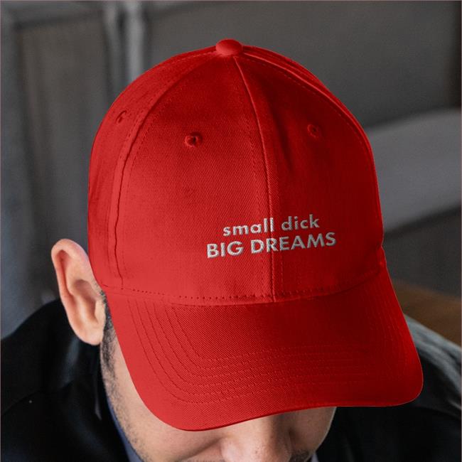 Shirtsthtgohard Small Dick Big Dreams Embroidered Hat