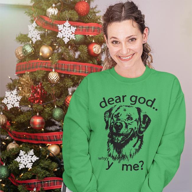Shirts That Go Hard Dear God, Y Me Shirt The Goodshirts Merch