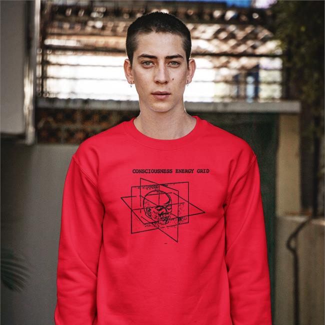 Consciousness Energy Grid Long Sleeve T Shirt
