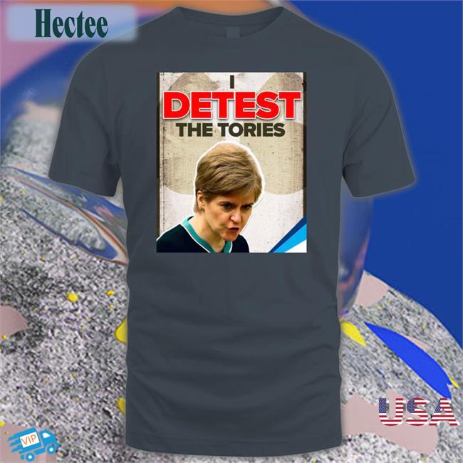 Detest The Tories Hooded Sweatshirt