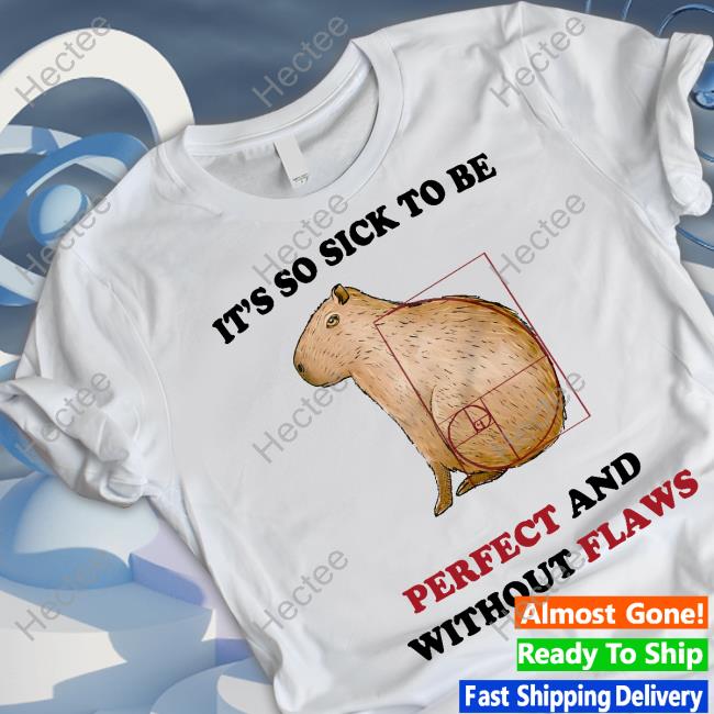 It's So Sick To Be Perfect And Without Flaws Shirts