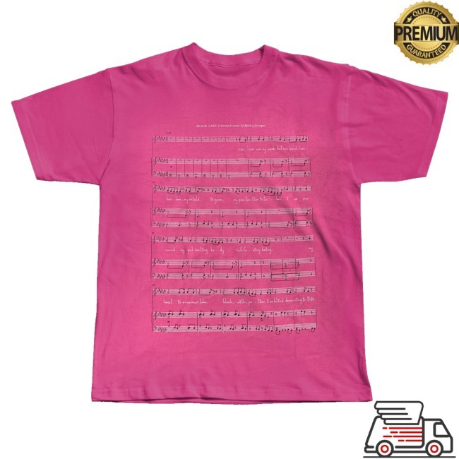 Official Bjork Merch Vulnicura Black Lake Pink Tee Shirt