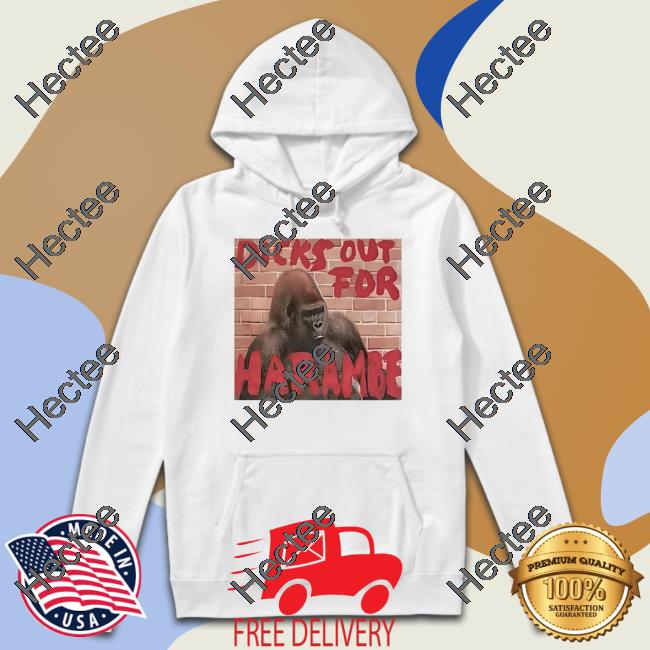 Dicks Out For Harambe Long Sleeve T Shirt