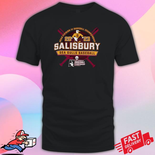 Salisbury Seagulls 2023 Ncaa Division Iii Baseball Championship Shirt