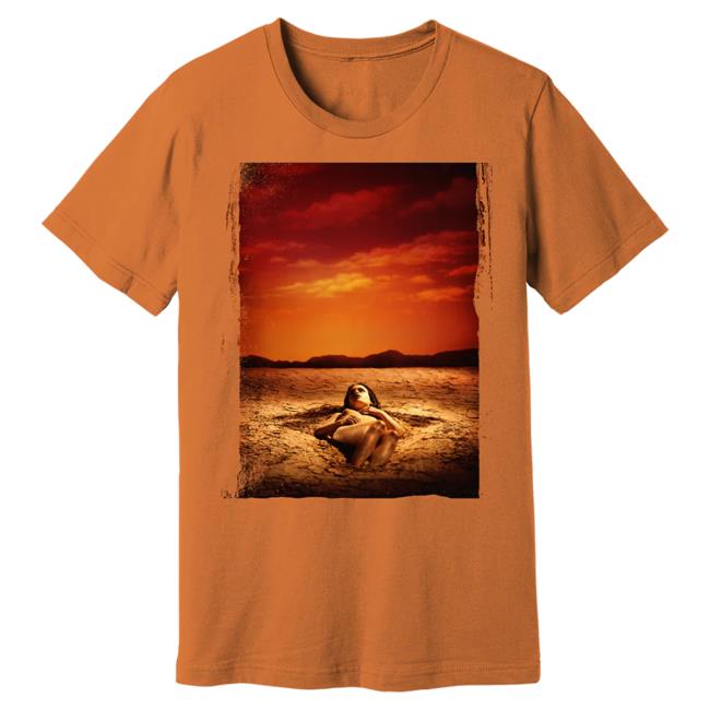 Official Alice In Chains Merch Store Alice In Chains Dirt Album Cover Oversized Top Shirt Aliceinchains