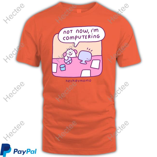 Not Now I'm Computering Heyheymomo Hoodie