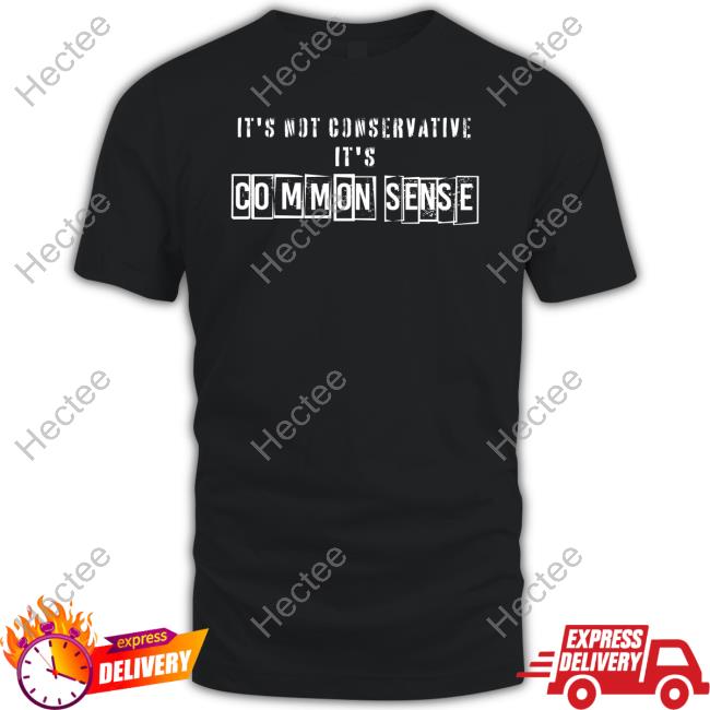 Brittany And Kasi Merch It's Not Conservative It's Common Sense Hoodie