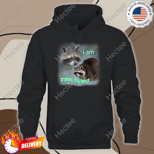 I Am Trying My Best Raccoon Hoodie Snazzyseagull