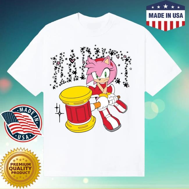 Lake Street Dive Merch Shop Market X Sonic The Hedgehog Amy Rose Hoodie, Sweatshirt