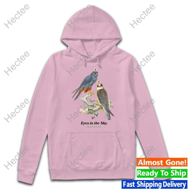 Eyes In The Sky Birds Aren't T Shirt Real Birdsarentreal Merch